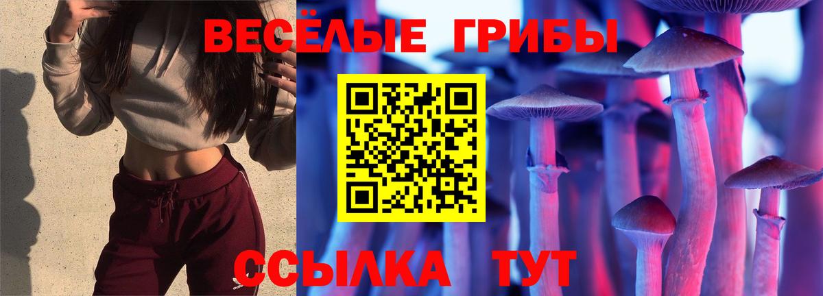 Псилоцибиновые грибы ЛСД  Вход с VPN  Морозовск 